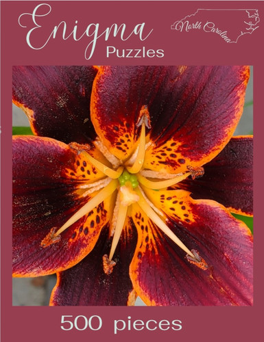 Lilies Romance First Patio ZYVERDEN VAN lily その他 Kit Metal Bulbs, 7 with その他