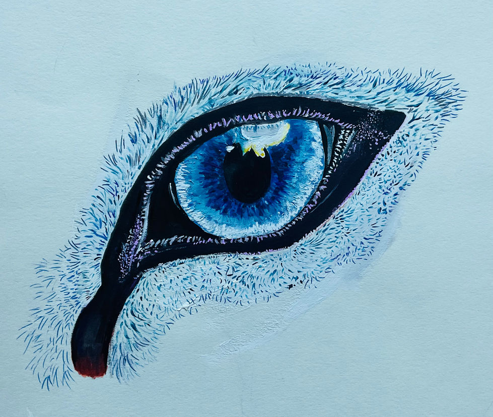 Watercolor Winter Arctic Fox Eye by Lucy