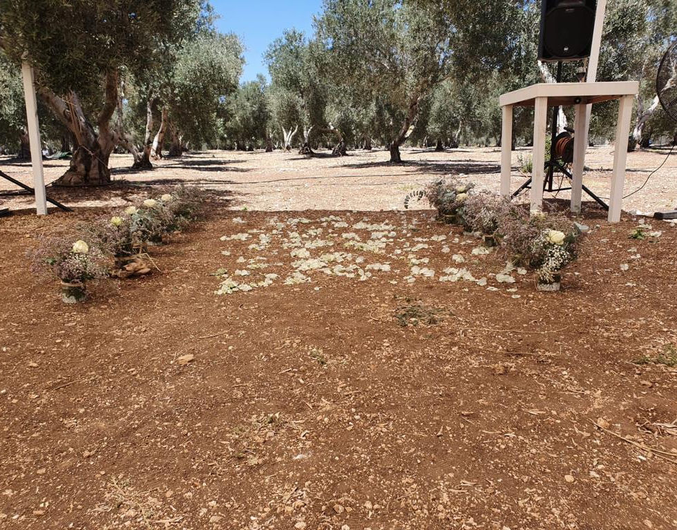 WhatsApp Image 2022-09-05 at 13.32.25.jpeg