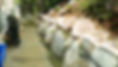 untitled-05908_edited.jpg