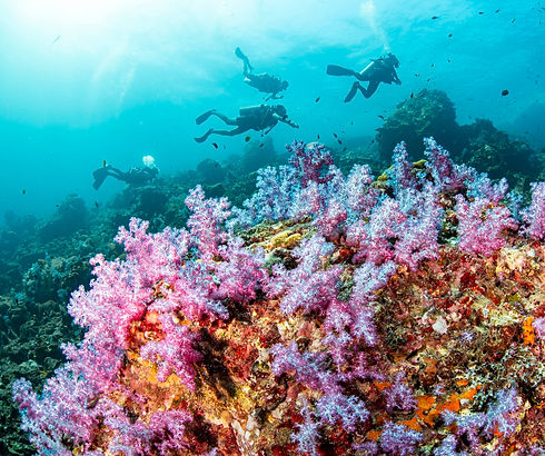 Advanced Open water diver course in Koh Lanta with OK Club.jpg