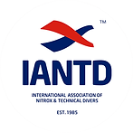 no bg iantd-2.png