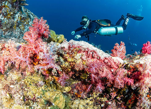 Technical diving course in Hin Daeng with OK Club.jpg