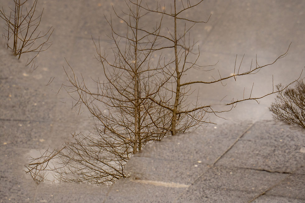 Fotoreportage: Antwerpen