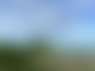 A Disney ship at dock at Castaway Cay