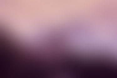 Discover Germany: Castles, Currywurst, and Culture with Harp Travel Co