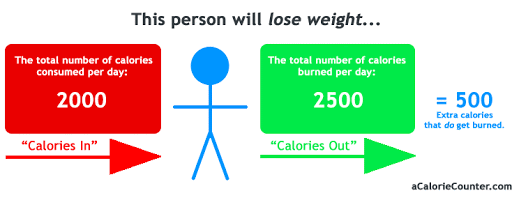How calories help you lose weight when dieting