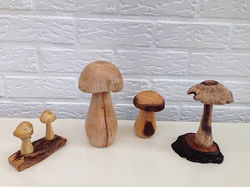 Buis, prunier et glycine