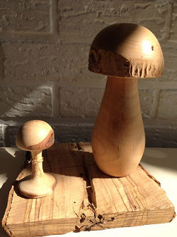 Champignons bouleau et prunier 20cm