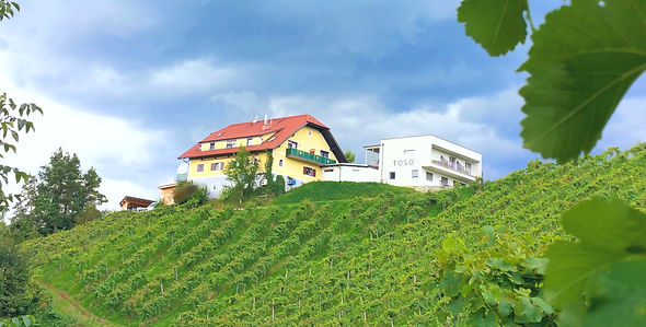 Haus Für willkommen österreich_edited.jpg