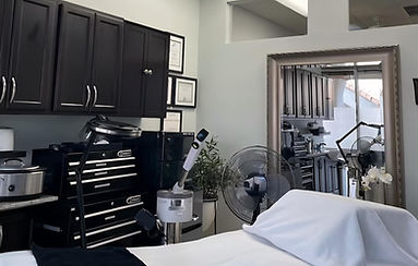 pic Ageless Defense Salon w-bed