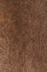 pic body Extreme dryness and Hyperpigmentation-BEFORE.jfif