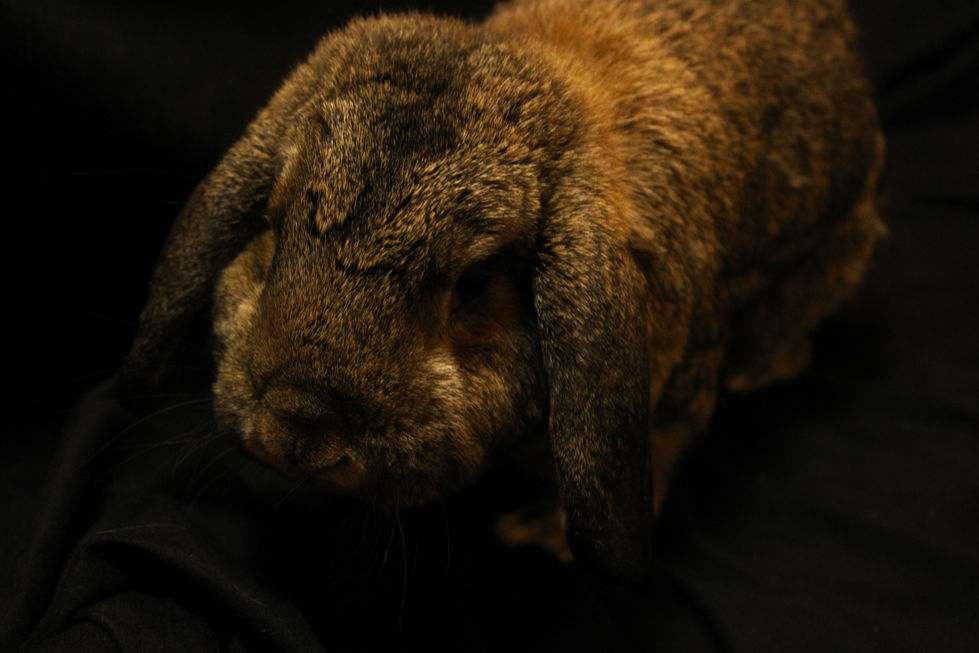 petey