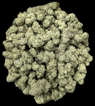 Cali Gas | 3.5G | Molecular Farms