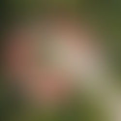 Le permis d'aménager : êtes vous concernés ?