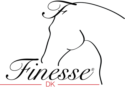 logo_img.webp