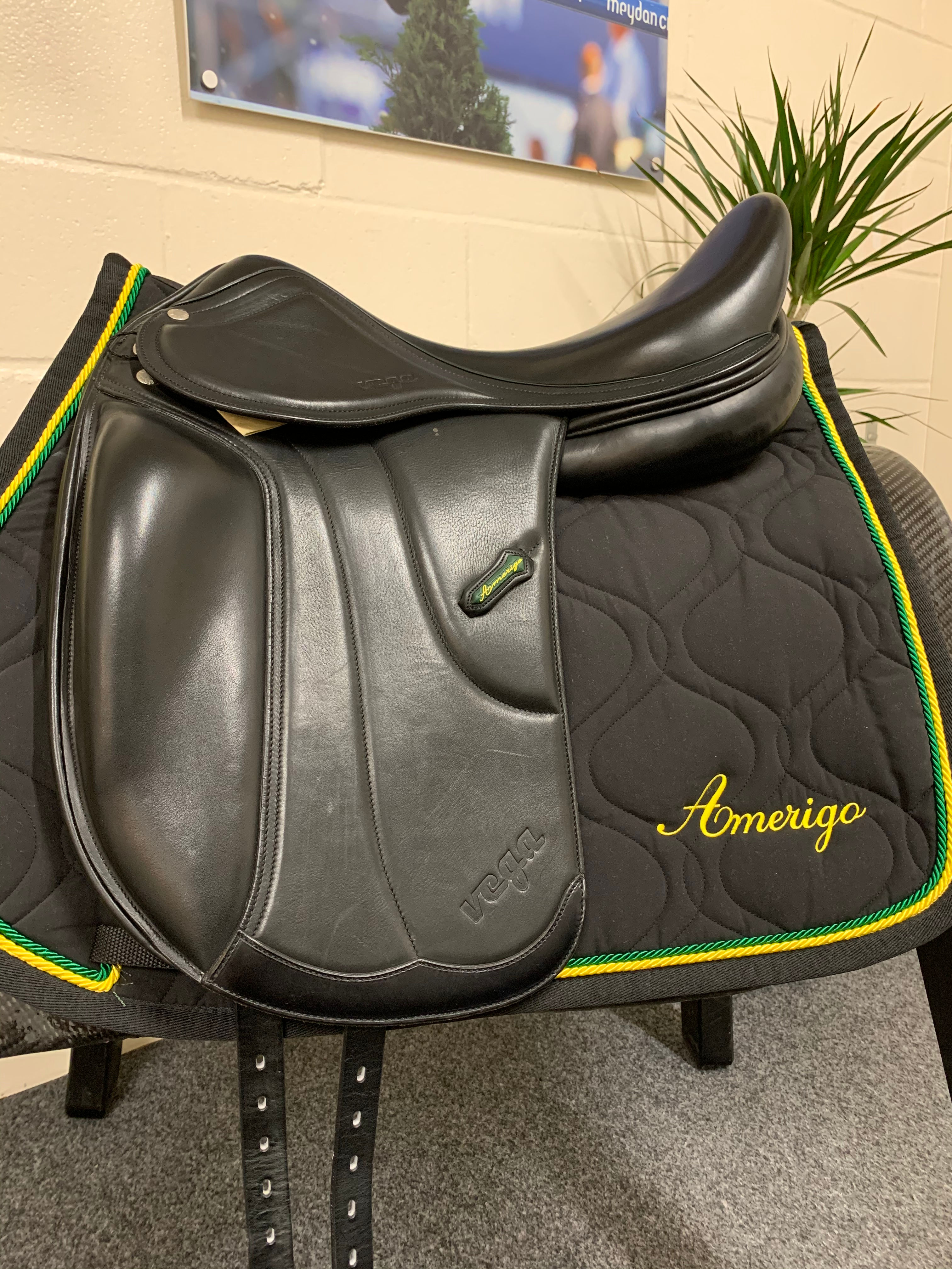 Amerigo Vega Dressage