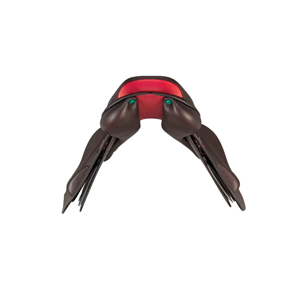 Thumbnail: Equipe Rarity Grip