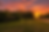 Vibrant sunset over a rural road and grassy field