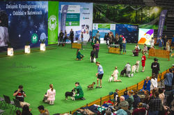 8a5abdc4-27d2-40c0-ae64-de1ba2f2f9ba