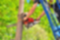 My Post-5.png