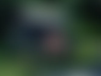 Co słychać w pałacu?