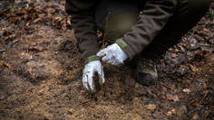 Jesienne prace w Lesie Kabackim