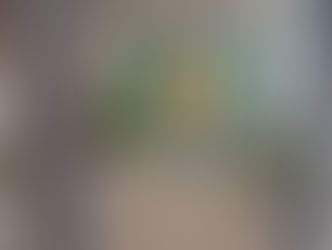 Poradnia Psychologiczno-Pedagogiczna nr 24 w Wilanowie rozbudowana o nowe sale i gabinety