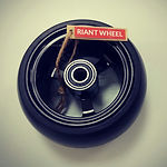 riantwheel-image