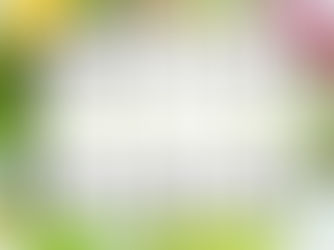 Beyond Positivity: Discovering True Spirituality Through Authentic Awareness