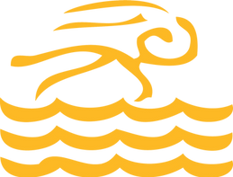 Swim_yellow.png