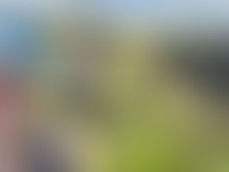 Evening Rambles Are Back! And We Can’t Wait