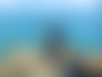 Walking Through Motherhood - Getting Out on Foot During Pregnancy and Beyond