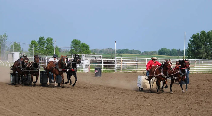 Buffalo Lake Stampede