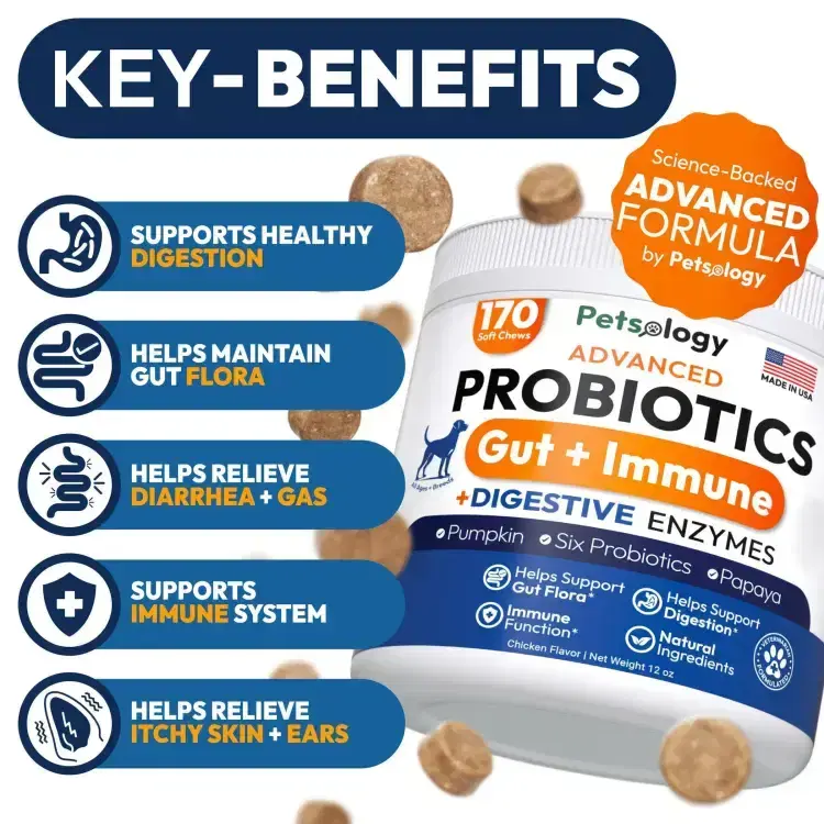 Thumbnail: Advanced Probiotic Chews 