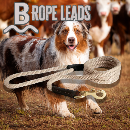 Brushy Creek's Rope and Leather Snap Lead
