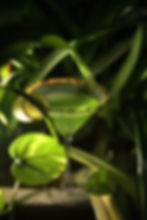 A photo of a drink AfterMarkett took for a Bar (Client)