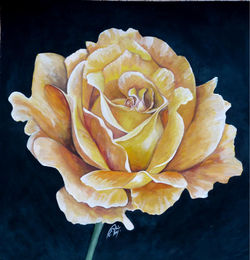 rose jaune _