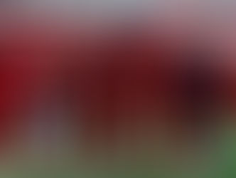 Skuad utama Kanada di Piala Dunia 2026 (X @CANMNT_Official)