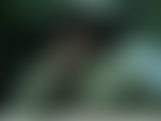 Harrison Ford saat mengunjungi pedalaman Kalimantan di dokumenter "Years of Living Dangerously" (Tangkapan Layar Youtube The YEARS Project)