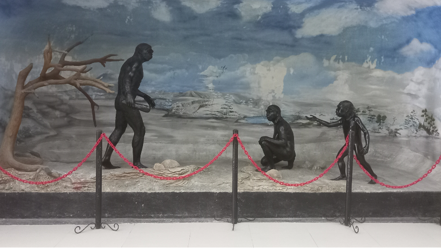 Diorama manusia purba Pithecanthropus erectus di Museum Trinil Ngawi (Randy Wirayudha/Historia.ID)