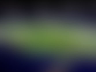 Il trend in negativo di Stadi e Spettatori