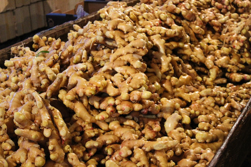 Ginger