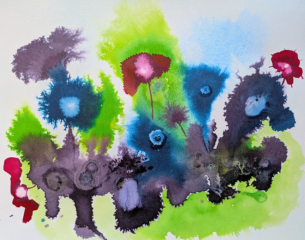 Coral Garden (2026)