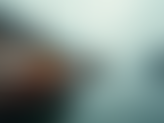 Why Tailored Travel Packages Are Your Best Choice