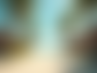 Discover the Magic of Tailored Vacation Packages