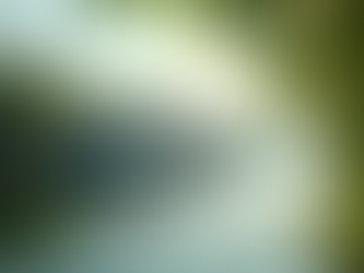 Discover the Benefits of Customized Travel Itineraries