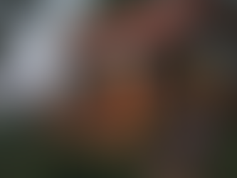 Discover Unique Travel Experiences with My Site 7