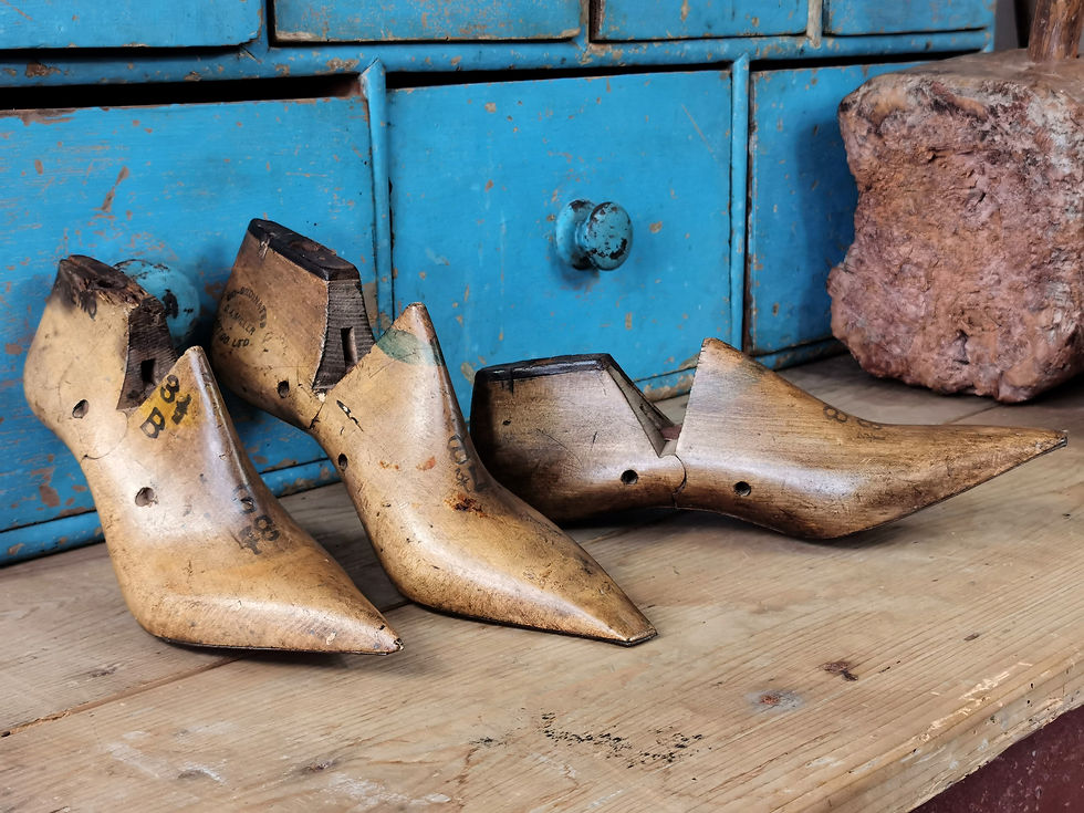 Thumbnail: Ladies Shoe Lasts