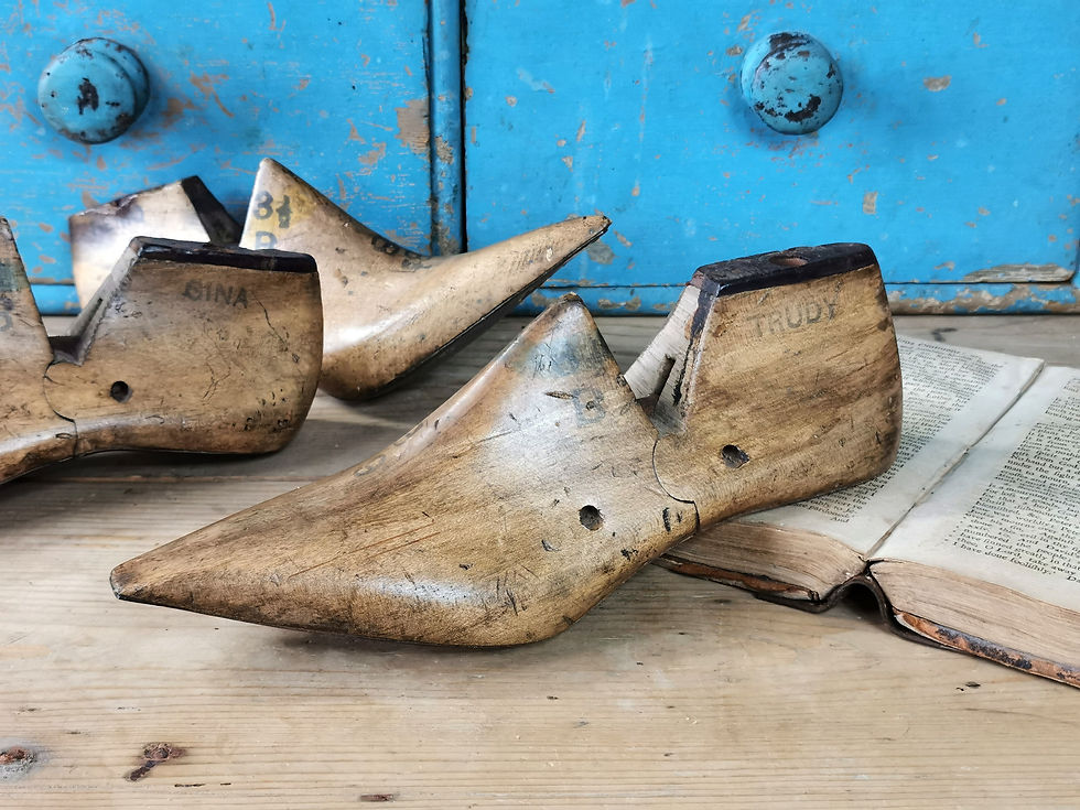 Thumbnail: Ladies Shoe Lasts